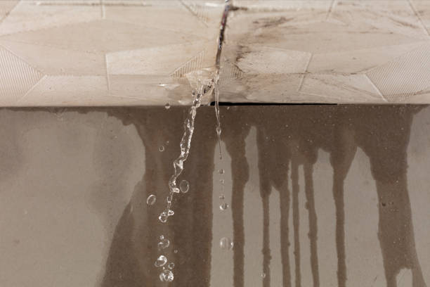 Professional Water Damage Repair technician working in Justiceburg, TX